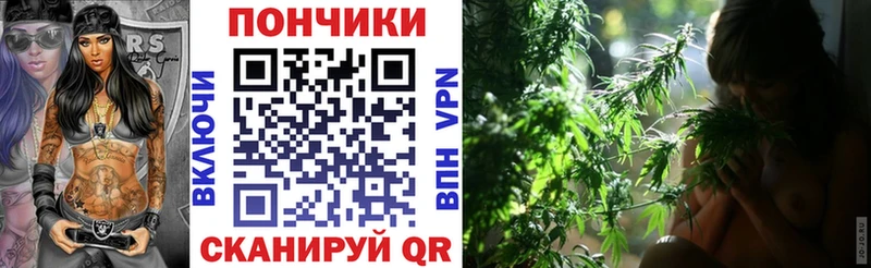 Канабис план  наркота  Шадринск 